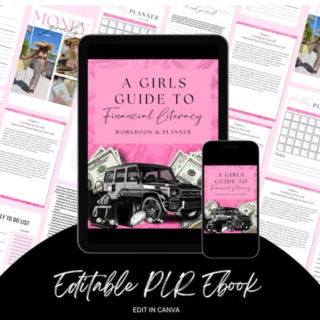 A Guide To Financial Literacy - Digital Product Store
